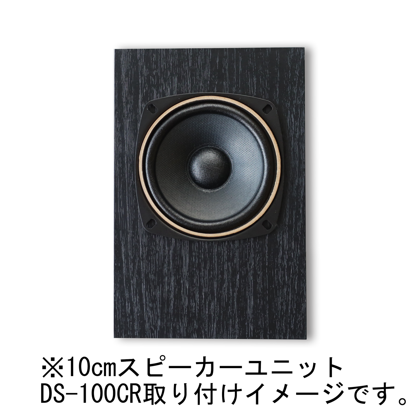 ダイトーボイスD1000-P7 半完成品 エンクロージャー スピーカー ダイトーボイスD1000-P7 半完成品 エンクロージャー スピーカー